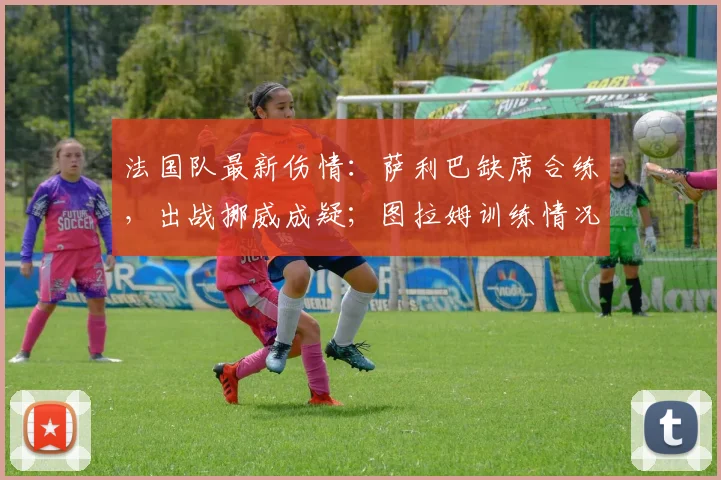 法国队最新伤情:萨利巴缺席合练,出战挪威成疑;图拉姆训练情况引关注(2026年)