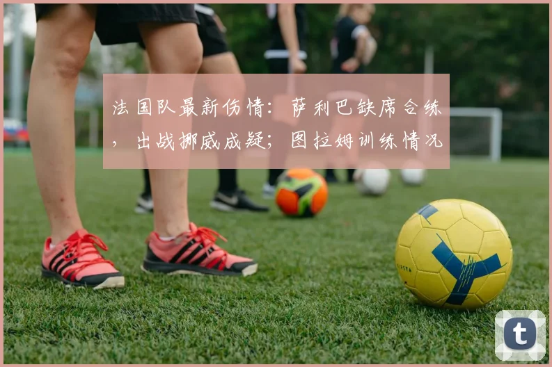 法国队最新伤情：萨利巴缺席合练，出战挪威成疑；图拉姆训练情况引关注（2026年）